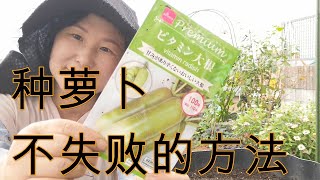 【丽的庭院生活 138】栽种种萝卜想成功，最重要的是播种和防虫，像我这样做，保你不失败！