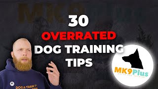 OVERRATED: The Worst Dog Training Advice/ Rules