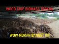 WOOD CHIP BIOMASS TERKINI