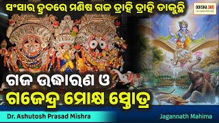 Gaja Uddharana \u0026 Gajendra Moksha Stuti | Dr. Ashutosh Prasad Mishra | Pratap Chandra Tripathy