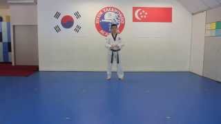 Blue Tip Belt Pattern by Hyun TKD Academy