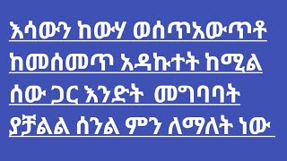 ሰበር አሰቸኳይ መረጃ አሁን በደረሰን ዜና ጠቅላይ ሚኒሰተር ወደዘመቻ ሊገቡ ነው