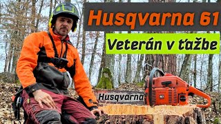 Husqvarna 61, Veteran in mining, Big pines, At the end of the speed test Stihl vs Husqvarna, Amles,