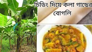 চিংড়ি দিয়ে কলা গাছের বোগলি রান্না রেসিপি,