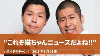 “これぞ猫ちゃんニュースだよね!!'【ハライチのターン！】2019年9月26日 LZv7HxSFQnE outro