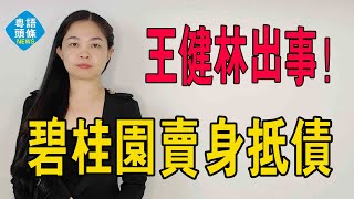 罕見，碧桂園1.55億拿地！竟是政府以地「抵債」！王健林，突發！險資出手！抄底與化債。#碧桂園 #王健林 #政府 #債務 #資產 #投資 #以地抵債