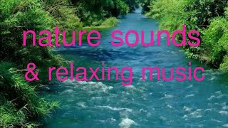 Relaxing music & birds singing with beautiful nature videos. | Relaxing Sleep Music & Nature Sounds.