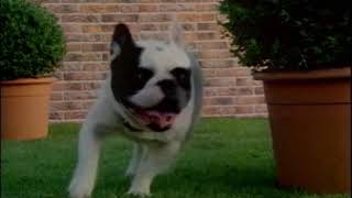 Epson - Dog and Cat (1998, France)