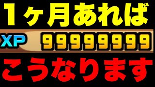 がっつりLv上げ！！XPカンストは大体一ヶ月くらいで可能です！　#にゃんこ大戦争