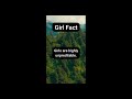 did you know this astonishing girl fact girl fact vol 5 facts hall shorts