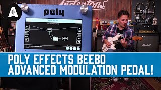 Advanced REAL Space Reverbs In a Pedal! | Poly Effects Beebo \u0026 Digit