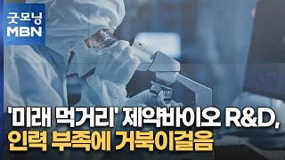 '미래 먹거리' 제약바이오 R\u0026D, 인력 부족에 거북이걸음 [굿모닝 MBN]