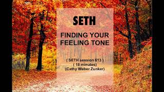 SETH Finding Your Feeling Tone