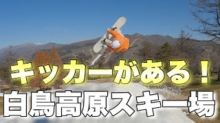 [祝！！]  ついに奥美濃にもキッカーが！！白鳥高原スキー場のコース状況