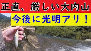 大内山川のアユ釣り。場所ムラ大きく厳しいけれど、今後は期待できます【2021年釣行記】