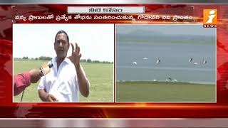 Deers, Peacocks and Rare Birds Wandering Near Sriram Sagar Project Area | Nizamabad | iNews