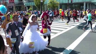 大阪マラソン2014 大阪ドーム(20km)付近にて Part3 of Osaka Marathon 2014