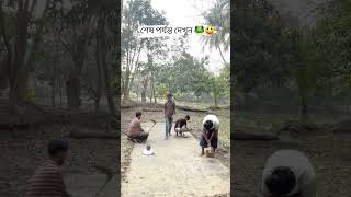 ছিঃ ছিঃ ছিঃ ননী। 😄😄 #allfunnyvideo #nature #love