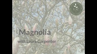 Introducing Magnolia