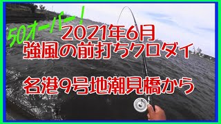 2021年6月　強風の前打ちクロダイ　名港9号地潮見橋から