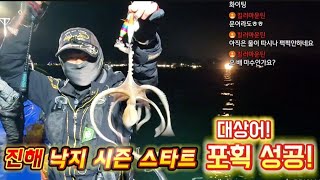 진해 낙지 시즌 스타트! with. 갑오징어 주꾸미