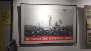 八九六四三十三周年纪念展览，The Unkillable Dream