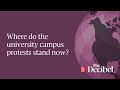 where do the university campus protests stand now