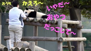 【ふうひ～んお家帰ろう　いやだ～】アドベンチャーワールド楓浜🐼おやつたちょうだい、だっこして～