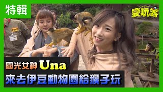 【愛玩客來賓特輯】伊豆動物園裡的動物超狂Der！做什麼事都直接來 沒再跟你客氣的！