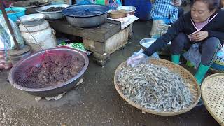 lao Traditional organice food market place  Vientiane  Laos