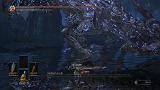 DARK SOULS III  NG+7  吞噬黑暗的米狄爾、 黑騎士大劍