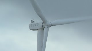 Push to ban wind turbines in Lake Erie