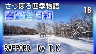 雪景色日和・さっぽろ四季物語