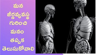 DIGESTIVE SYSTEM | Digestive System in Telugu | manava jeerna vyavastha | మానవుడి జీర్ణ వ్యవస్థ |