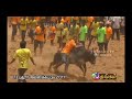 m.புதூர் ஜல்லிக்கட்டு m.puthur jallikattu 2017 part 9