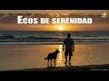 Ecos de Serenidad | Música relajante | Relax| Meditación |