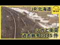 JR北海道　列車とシカの衝突　過去最多3145件　クマとの衝突・発見も過去最多に　2023年度