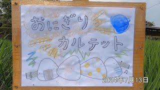 2024.7.13【お米づくり体験】「おにぎりカルテット」さんち【成長動画】