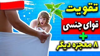 اگر هر روز گزنه بخوریم چی میشه؟ 10 خاصیت گزنه برای سلامتی و زیبایی