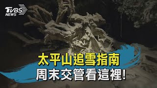 太平山追雪指南 周末交管看這裡!｜TVBS新聞