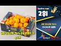 지금 사야 할 제주감귤 2023년 추천 top10