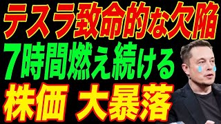 EV需要の激減でテスラ大ピンチ…株価暴落中のテスラどうなる？【海外の反応】