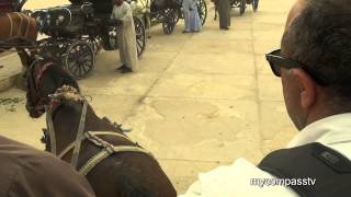 Edfu Calèche Ride