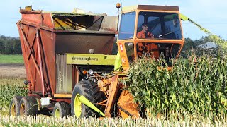 Vintage Corn Silage Day | Lots of Great Tractors in The Field