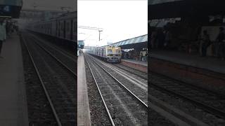 Krishnanagar  train arrived naihati station ||