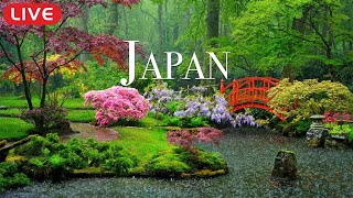🔴 Relaxing Piano Music “Dreams of Japan” for Studying, Spa, Coffee, Work, Sleeping