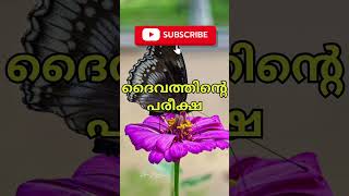 ദൈവത്തിൻറെ പരീക്ഷണം #bibleworld #malayalam #malayalamyoutube  #b #anishmanostephen #anilkodithottam