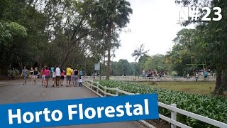 Conheça Horto Florestal - N#23