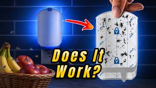 Zevo Flying Insect Trap Review – Does It Actually Work?