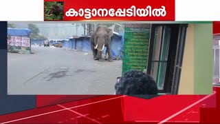 ഇടുക്കി വീണ്ടും കാട്ടാന ആക്രമണ ഭീതിയിൽ | Elephant Attack | Idukki